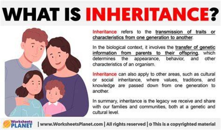 What does it mean by inheritance?