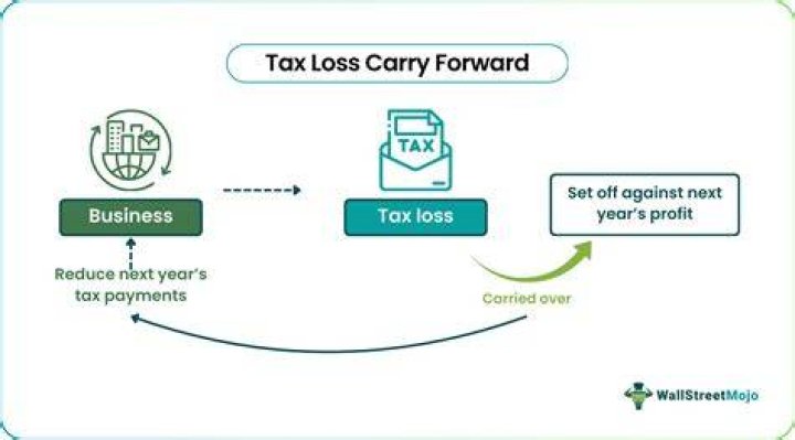 What does it mean to have a tax loss carry forward?