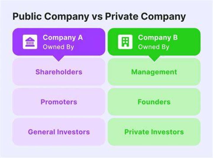 What does it mean to own shares in a private company?