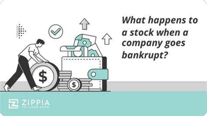 What happens if my long term care company goes bankrupt?