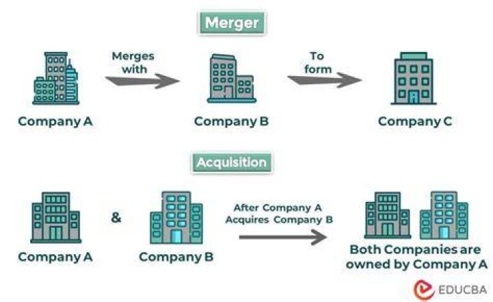 What happens to employees in a merger?