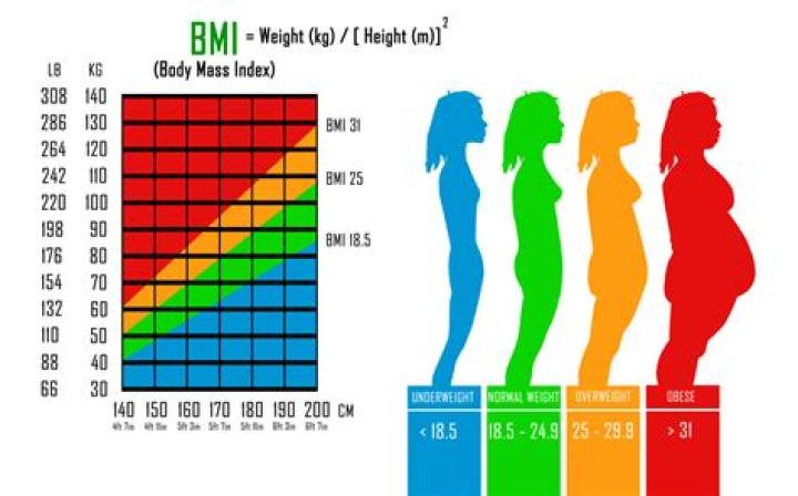 What is a healthy weight for a 5 4 woman?
