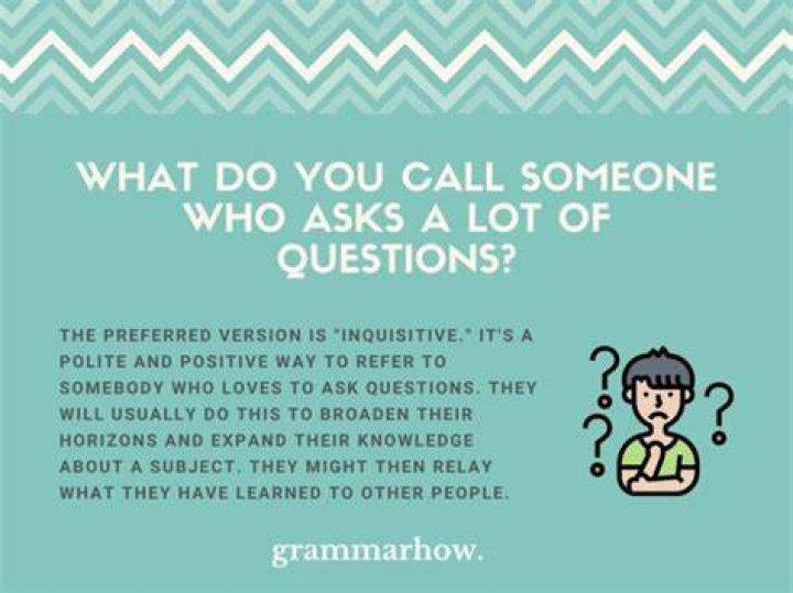What is a word for someone who asks a lot of questions?