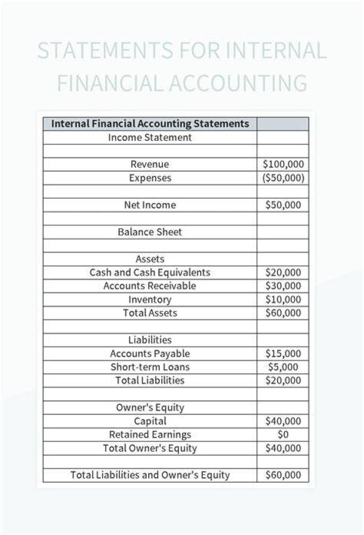 What is an internal financial statement?