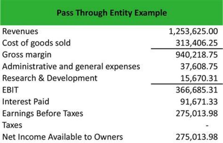 What is company pass through income?