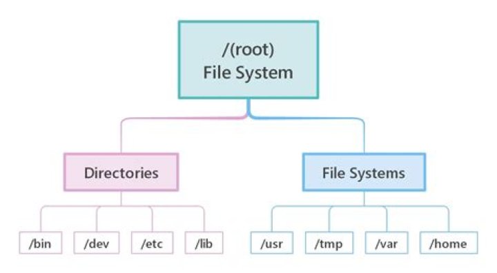 What is file explain?