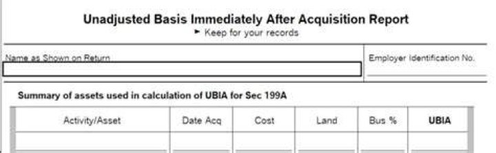 What is included in section 199A unadjusted basis?
