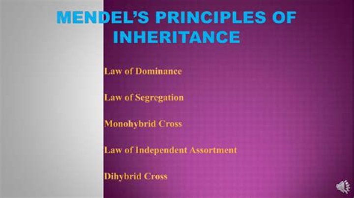 What is law of inheritance in agriculture?