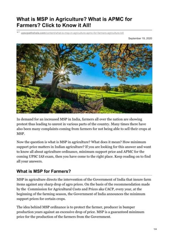 What is MSP and APMC?