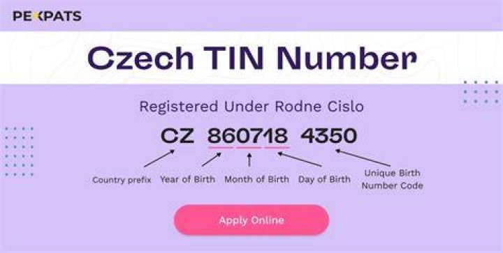 What is my tax identification number in Czech Republic?