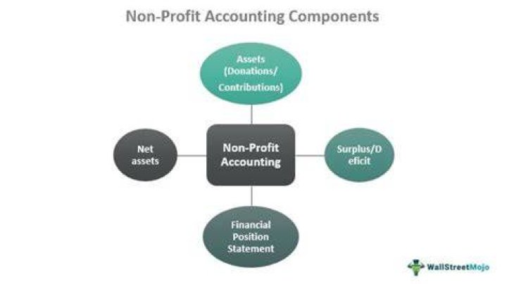 What is non profit accounting?