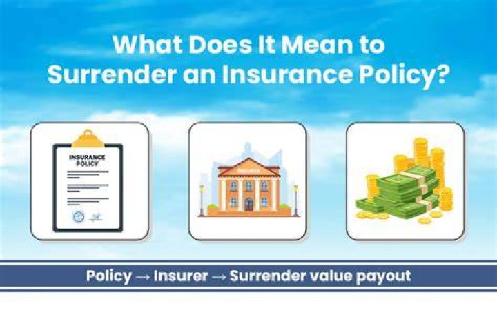 What is surrender payout?