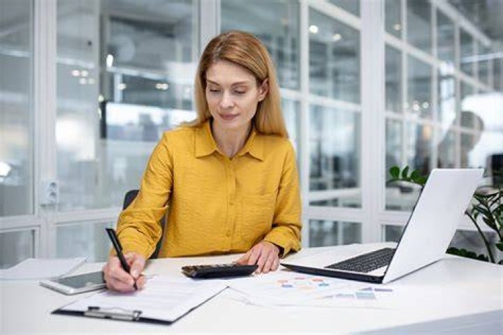 What is the average accountant fee?