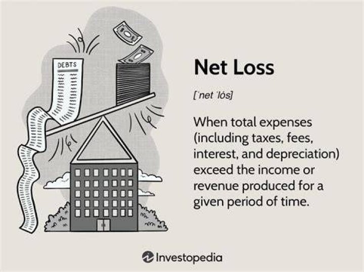 What is the equation for net loss?