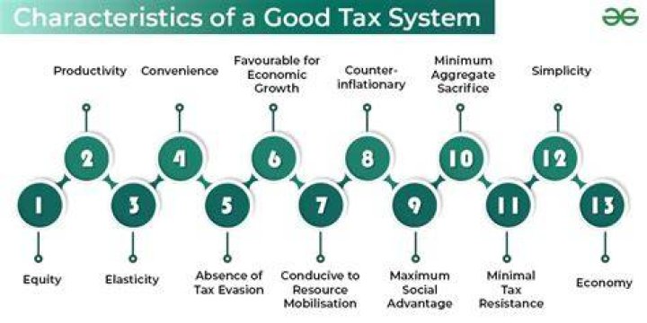 What is the ideal good to tax?