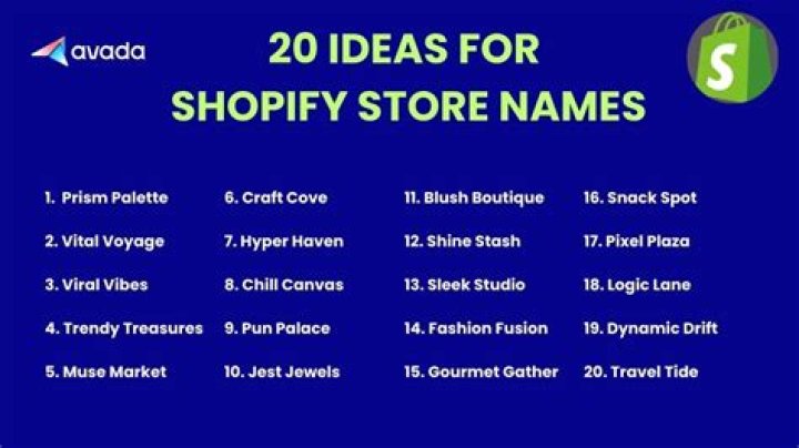 What is the number 1 Shopify store?