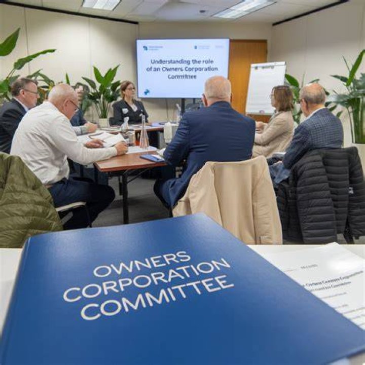 What is the role of an owners corporation committee?