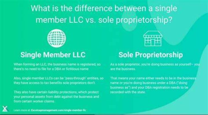 What makes a single member LLC a LLC?