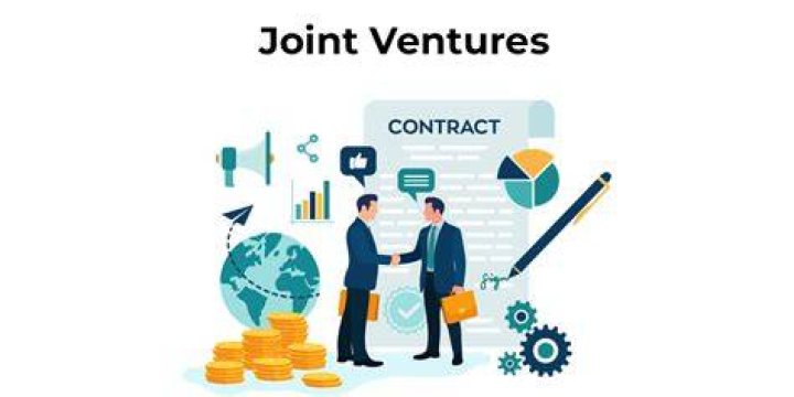 What type of business is joint venture suitable?