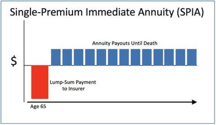 What will an immediate annuity pay?