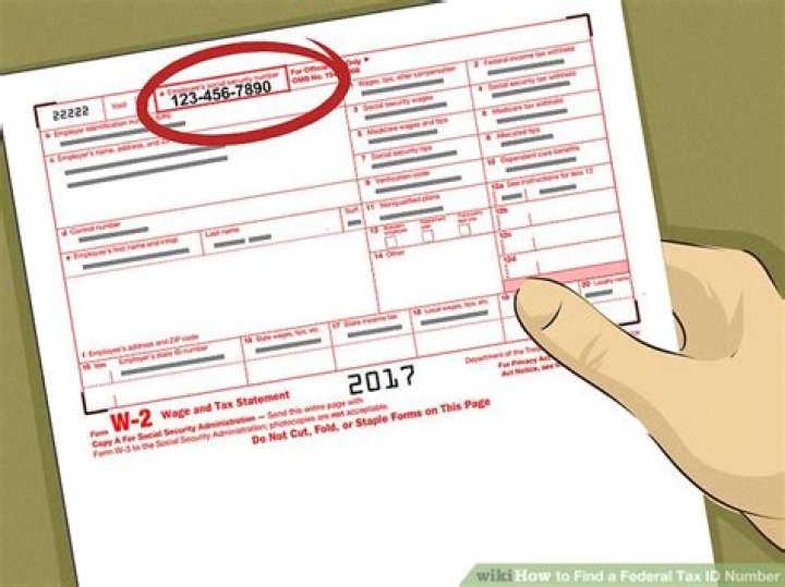 Where can I Find my lost tax ID number?