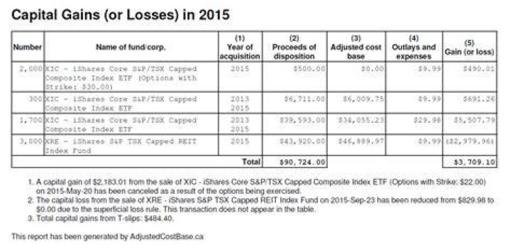 Where do you report capital gains and losses?