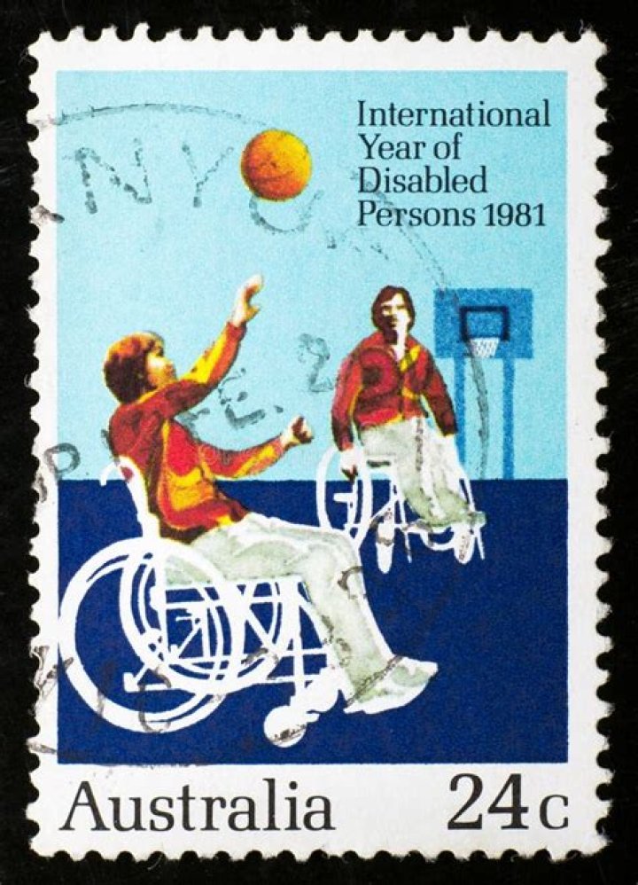 Which year is considered as Year of Disabled Person?