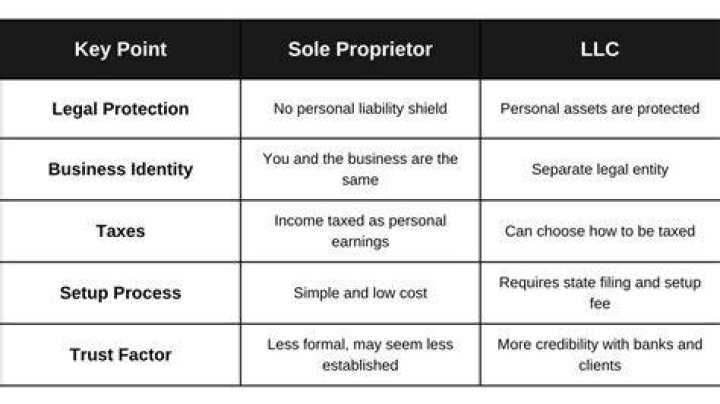 Who is a sole proprietor in a LLC?