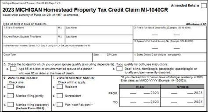 Who qualifies for homestead property tax credit in Michigan?