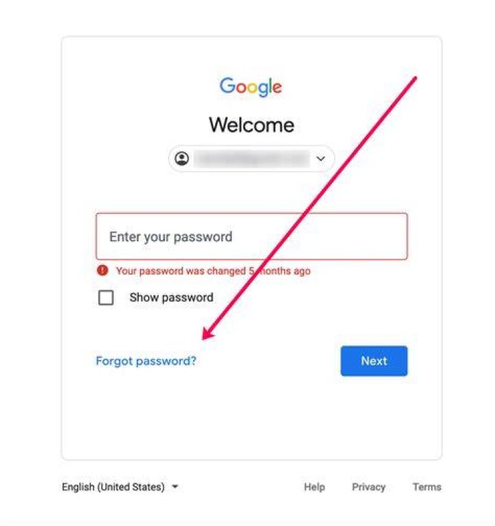 Why do I have to wait 48 hours to reset my Gmail password?