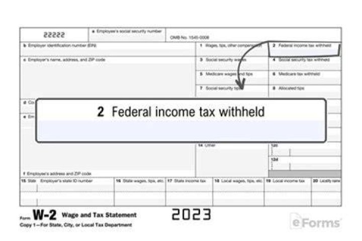 Why does my W2 show no federal tax withheld?