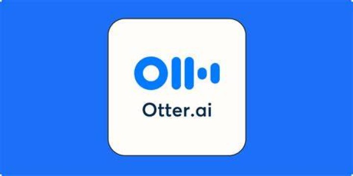 Why is Otter AI not working?